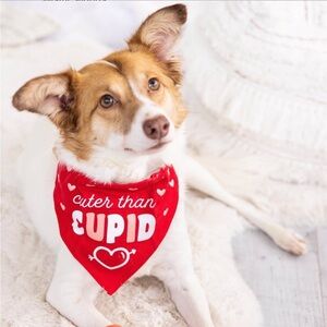 BRAND NEW with Tag - Pearhead « CUTER THAN CUPID » Dog Bandana - S/M